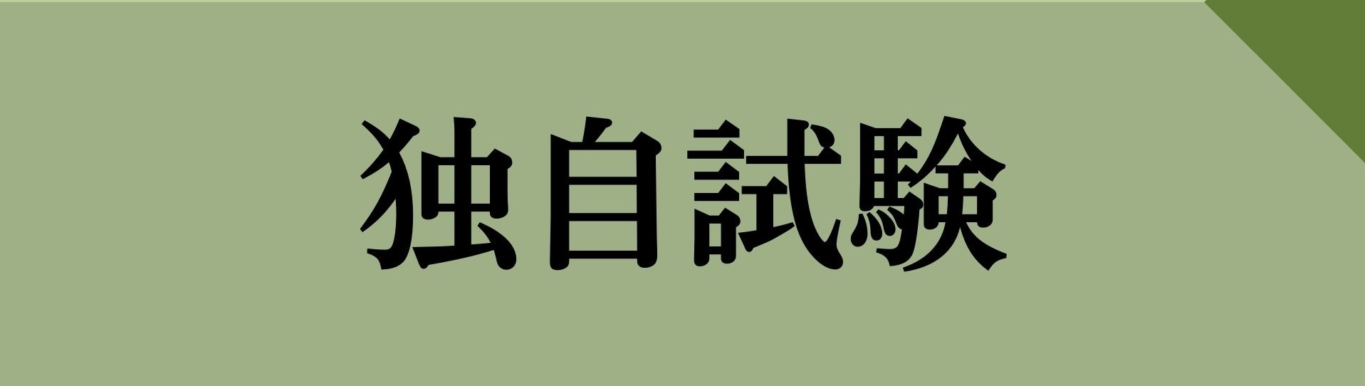 独自試験