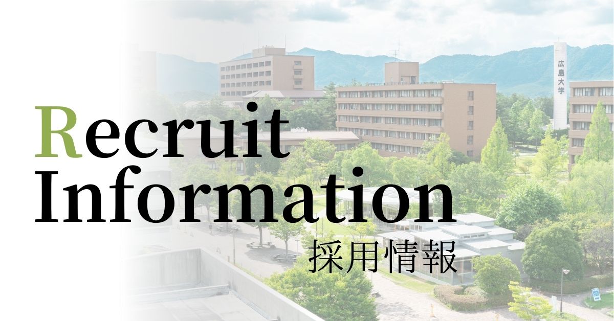 採用情報