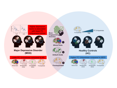 Comparative analysis of the brain functional connectome (FC) uniqueness
