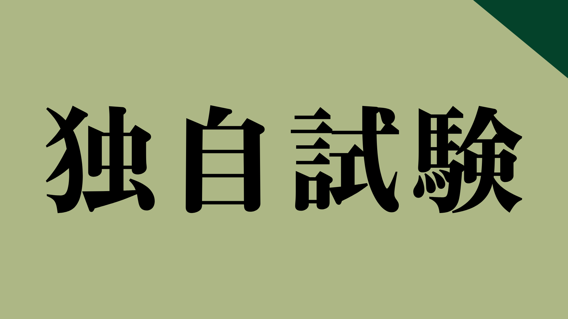 独自試験