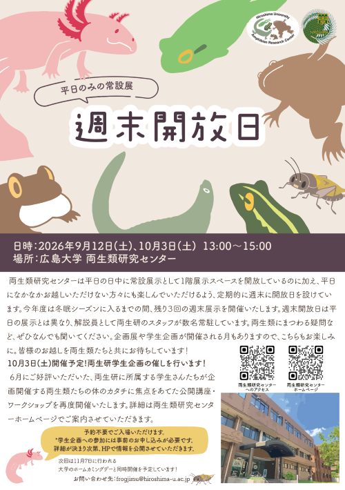 週末開放日